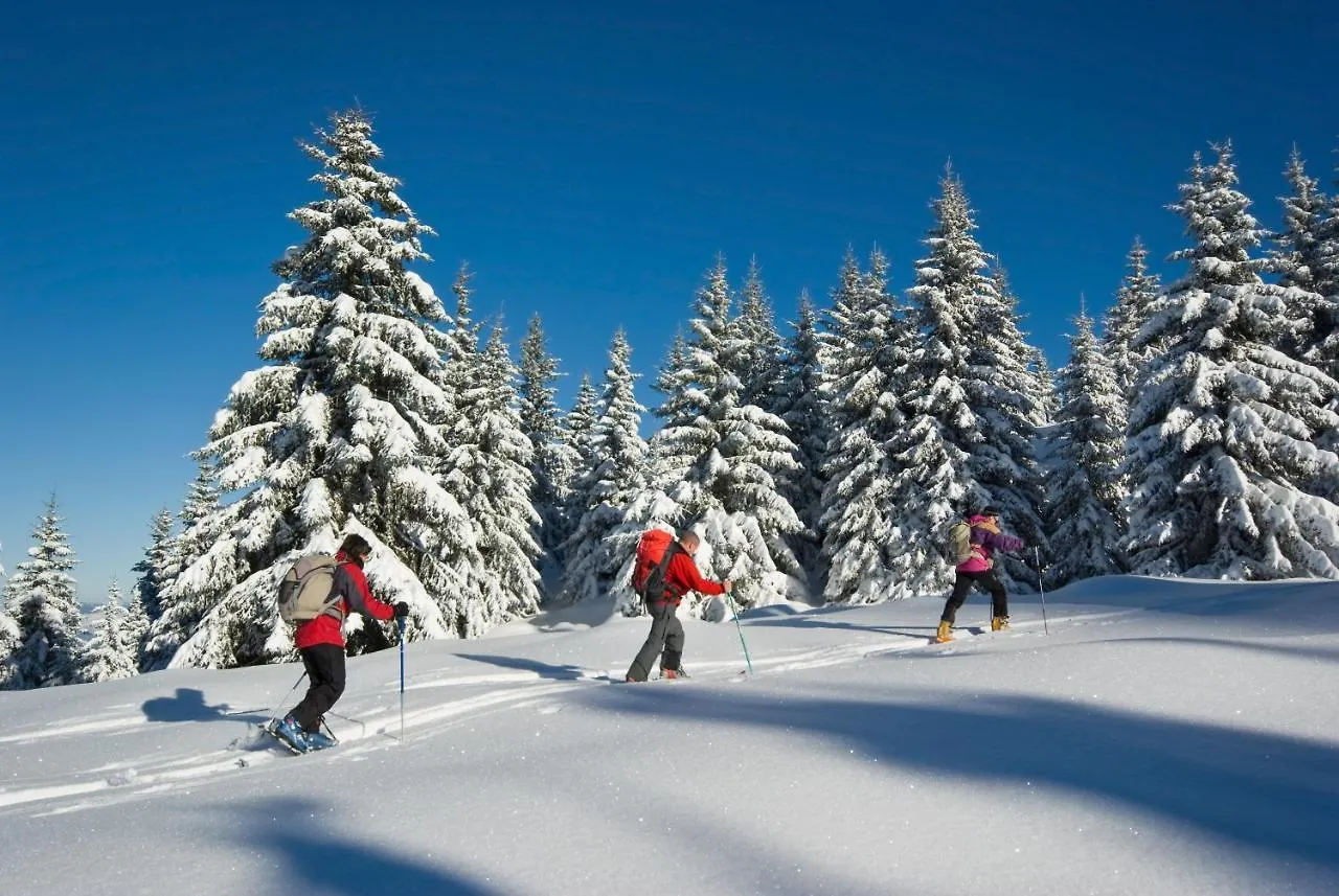 Gites Des Flandaines Saint-Jean-en-Royans